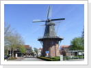Die Meyers Mühle aus der Sicht vom Stadtpark.