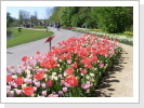 Nicht nur der Stadtpark ist sehr schön der Jahreszeit entsprechend angelegt.